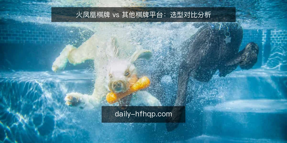 火凤凰棋牌 vs 其他棋牌平台:选型对比分析 — 明确选型需求:你究竟需要什么? 配图
