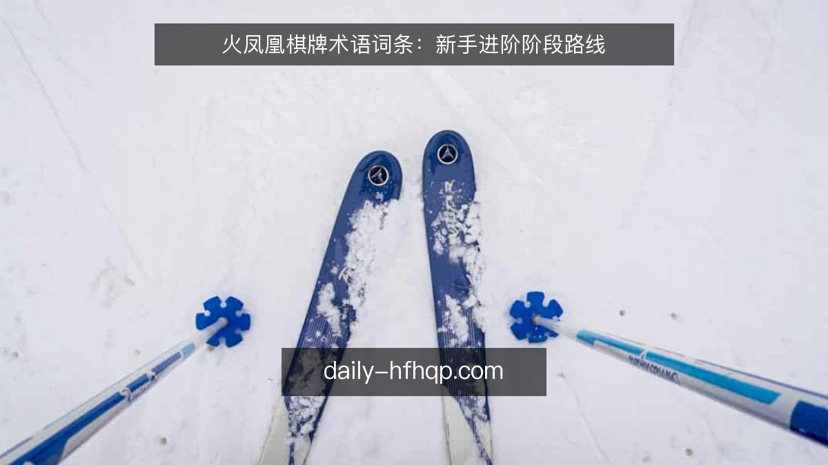 火凤凰棋牌术语词条：新手进阶阶段路线
