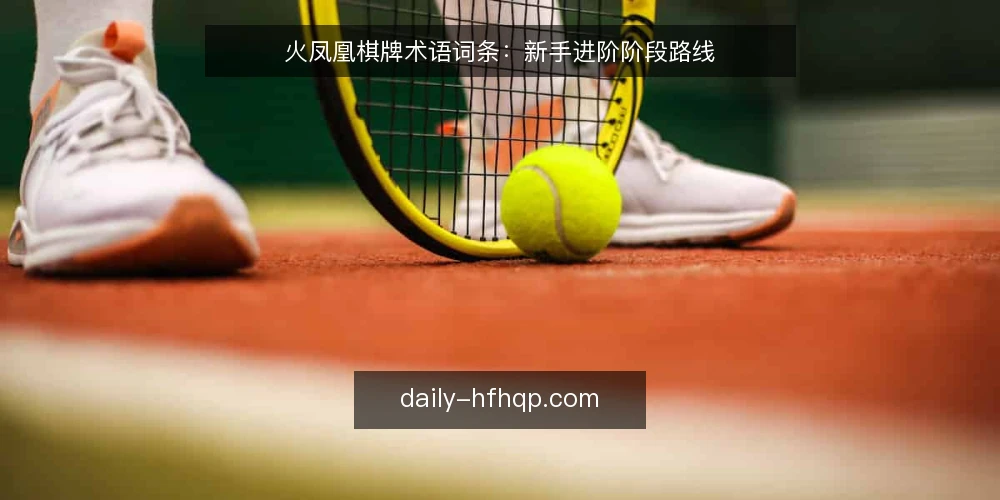 火凤凰棋牌术语词条：新手进阶阶段路线 — 基础术语基线 配图