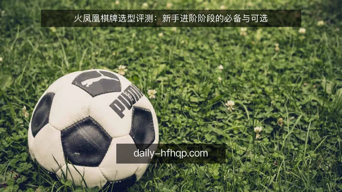 火凤凰棋牌选型评测:新手进阶阶段的必备与可选