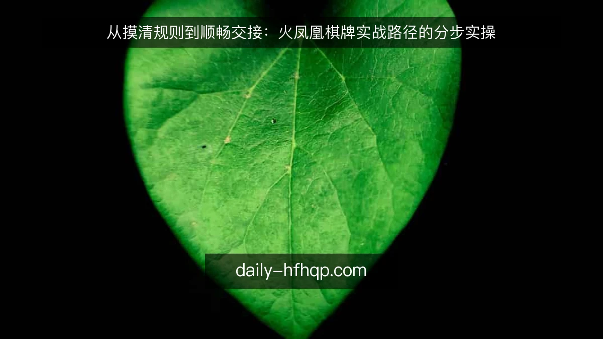 从摸清规则到顺畅交接：火凤凰棋牌实战路径的分步实操